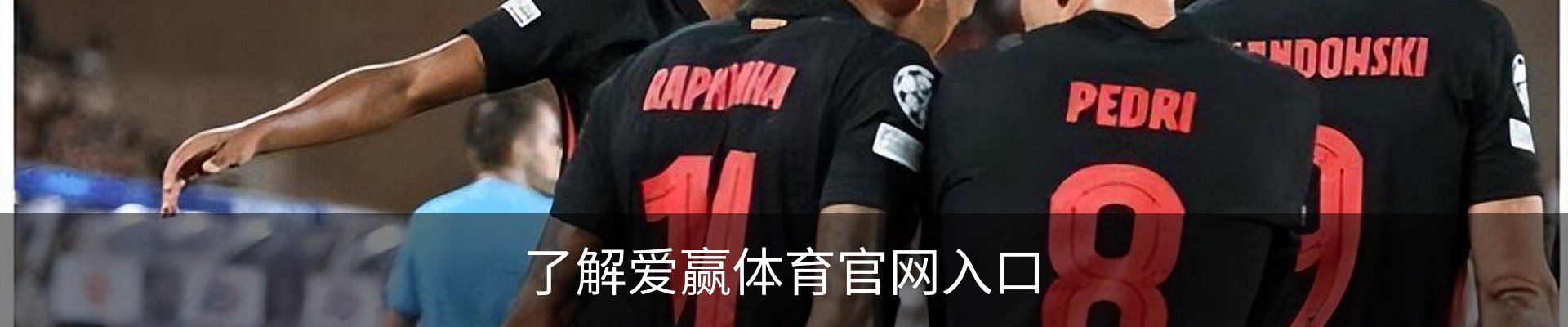 了解爱赢体育官网入口